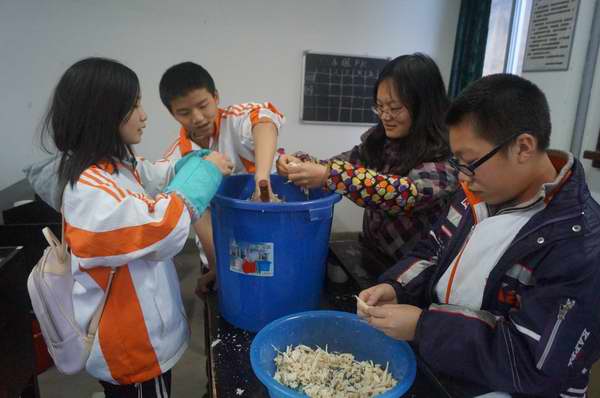 生物社团活动之种蘑菇